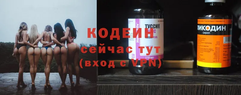 Кодеиновый сироп Lean Purple Drank  Зея 